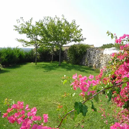Finca Cristy Holiday home *